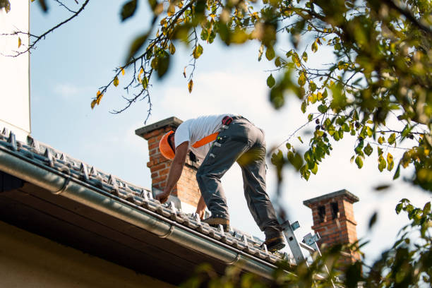 Best Flat Roof Repair Services  in Knik Fairview, AK