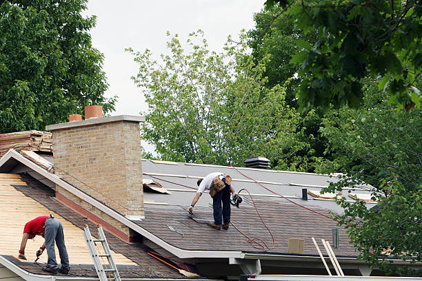 Best Roof Leak Repair  in Knik Fairview, AK