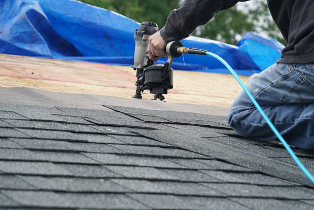Best Roof Repair Services  in Knik Fairview, AK